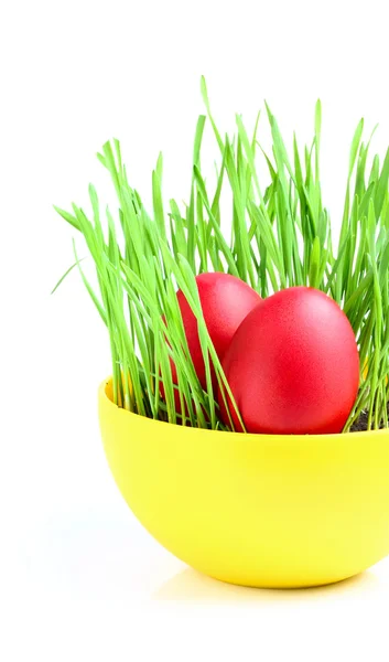 Eggs in a bowl of green grass. — Stock Photo, Image