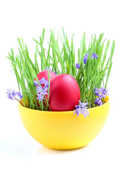 Easter composition on the white background. — Stock Photo, Image