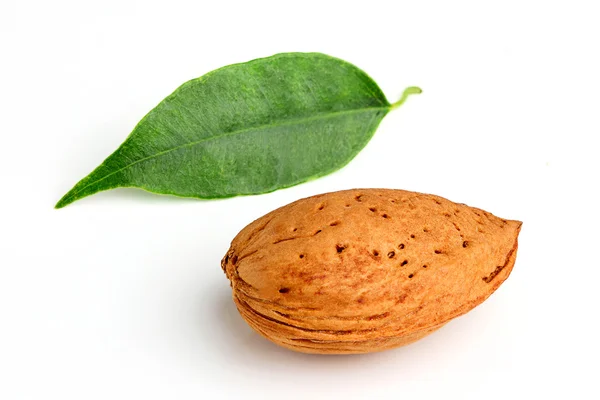 Almendras y hojas . — Foto de Stock