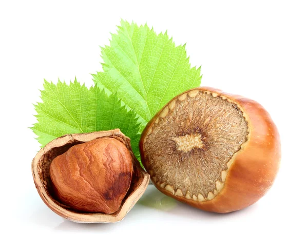 fındık kabuğu yaprakları ile.