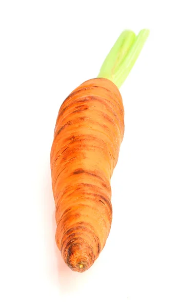 De geïsoleerde wortel op een witte achtergrond. — Stockfoto