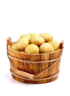 bir kova içinde genç patates