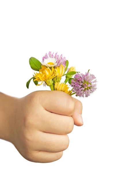 Child Hand Holding Flowers - with clipping path — Stock Photo, Image