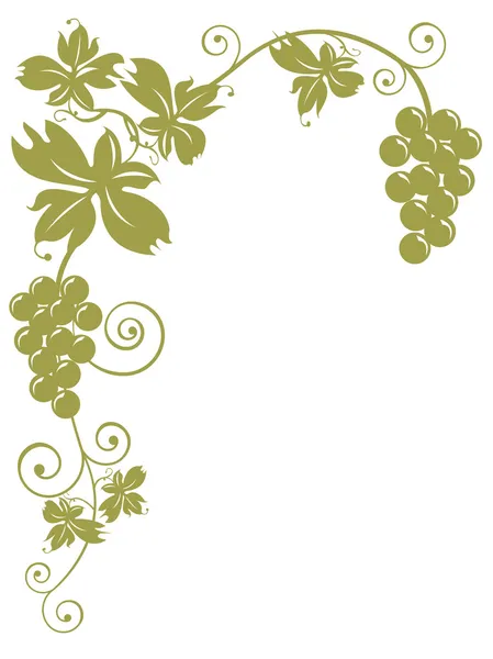 üzüm - kırpma yolu ile demetleri