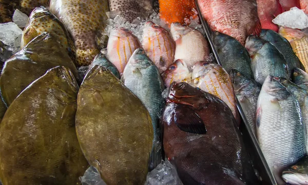 Marché aux poissons — Photo