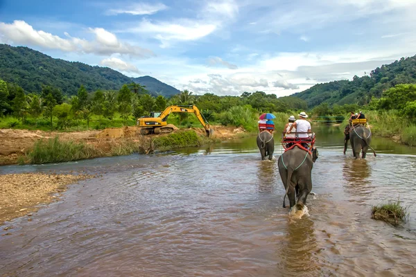 Elephant riding — Stock Photo, Image