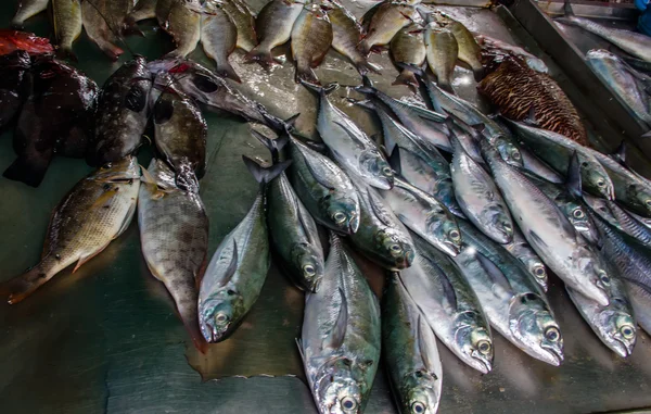 Marché aux poissons — Photo