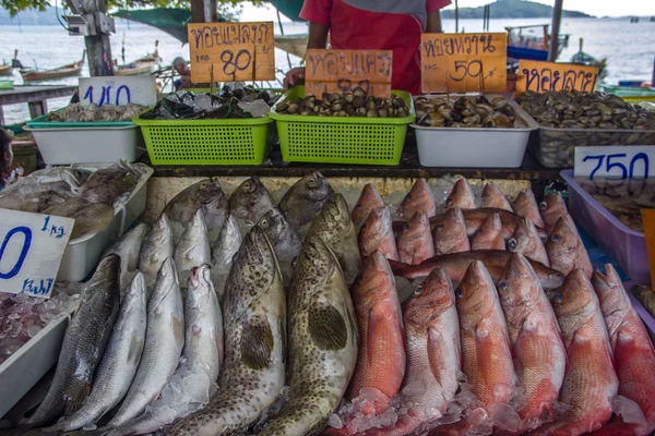 Marché aux poissons — Photo