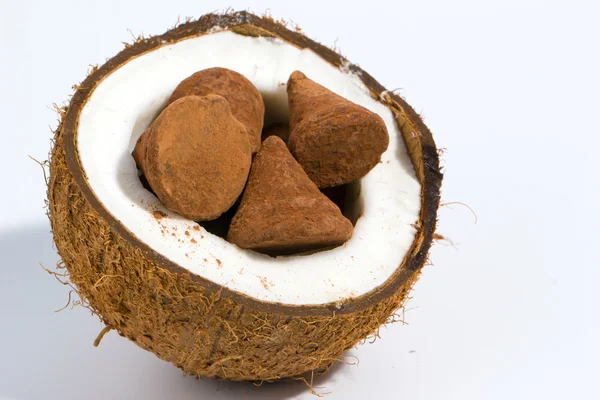 Coconut and chocolate candy — Stock Photo, Image