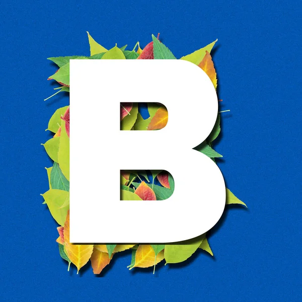 Alfabet Witte Letters Vorm Gemaakt Van Bladeren Blauwe Achtergrond Render — Stockfoto