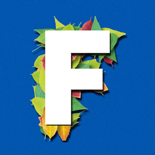 Alphabet Weiße Buchstaben Und Form Aus Blättern Auf Blauem Hintergrund — Stockfoto