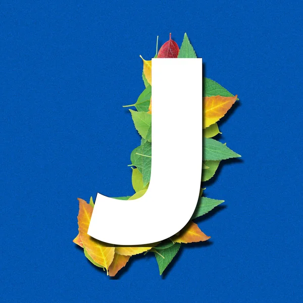 Alphabet White Letters Shape Made Leaves Blue Background Render Letter — Stock Photo, Image