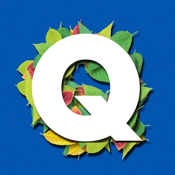 3D字母表 白色字母和蓝色背景叶子的形状 3D渲染 字母Q — 图库照片