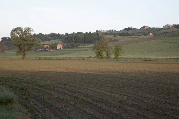 Tiros Paisajes Piamonteses — Foto de Stock