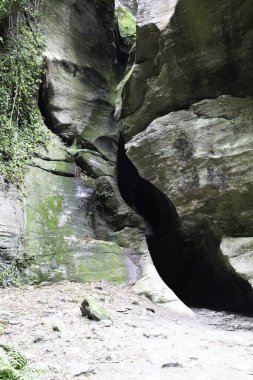 Orridi di di Uriezzo 'nun iç görüntüsü.