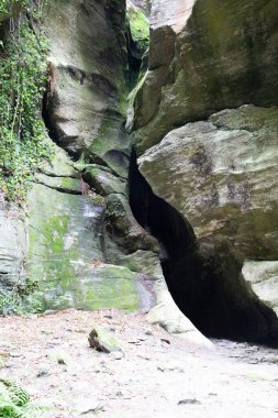 Orridi di di Uriezzo 'nun iç görüntüsü.