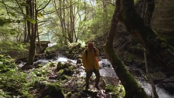 Brodaty fotograf w okularach i płaszczu przeciwdeszczowym w lesie górskim w pobliżu rzeki. — Wideo stockowe