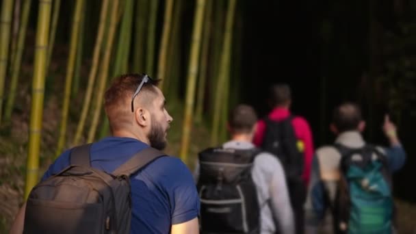 Grupo de viajantes do sexo masculino caminhando através de florestas montanhosas. Estilo de vida recreativo. — Vídeo de Stock