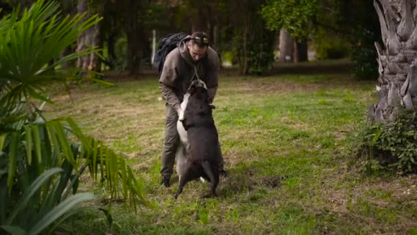 Proprietário masculino brincando com Labrador Retriever cães de estimação no parque ambiente. — Vídeo de Stock