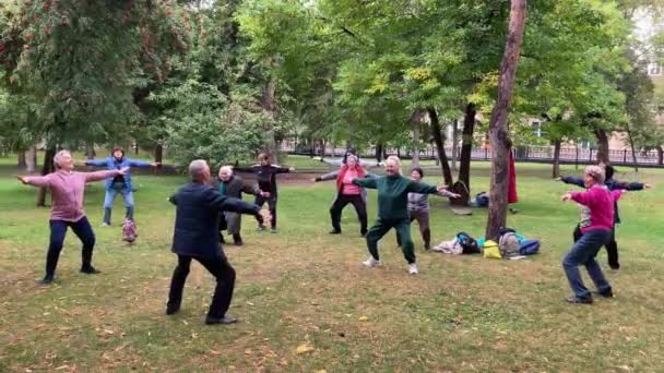Άσκηση γυμναστικής στο πάρκο της πόλης για ηλικιωμένους. — Αρχείο Βίντεο