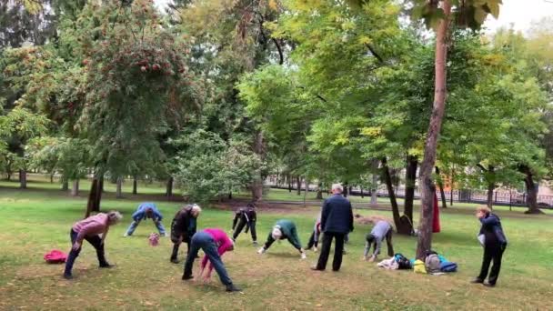 Sessione di stretching di braccia e gambe. Anziani in classe di fitness all'aria aperta. — Video Stock