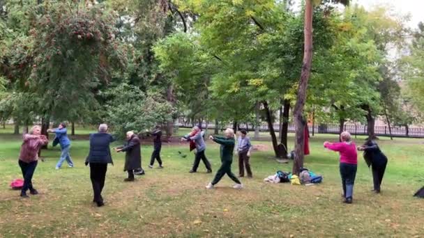 Kollar ve bacaklar esneme oturumu. Açık hava fitness sınıfındaki yaşlı insanlar. — Stok video