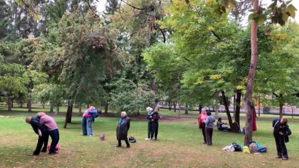 Classe de corps de forage pour personnes âgées, bras et jambes sport fitness étirement. — Video