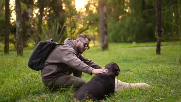 Mans companheiros, família e melhores amigos. Homem joga, brincando com animais de estimação Labradores — Vídeo de Stock