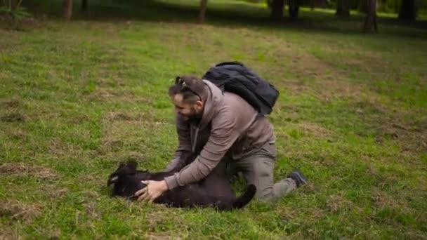 Mans metgezellen, familie en beste vrienden. Man speelt, rotzooien met huisdier Labradors — Stockvideo