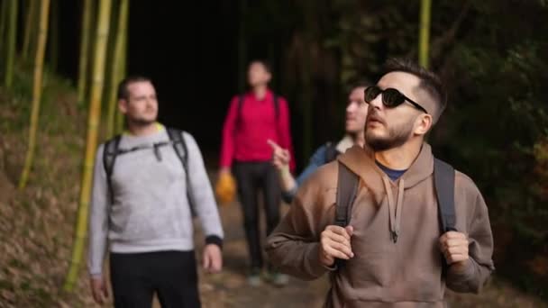 Groep van jongens op vakantie wandelen door bos, camping, wandeltocht in het bos. — Stockvideo