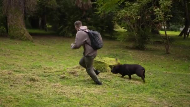 Pet γονέας παίζει με τους άνδρες καλύτερους φίλους - σκυλιά. Περνώντας χρόνο με Λαμπραντόρ. — Αρχείο Βίντεο