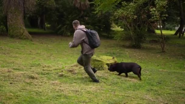 Pet rodzic bawi się z mans najlepszych przyjaciół - psy. Spędzanie czasu z Labradorami. — Wideo stockowe