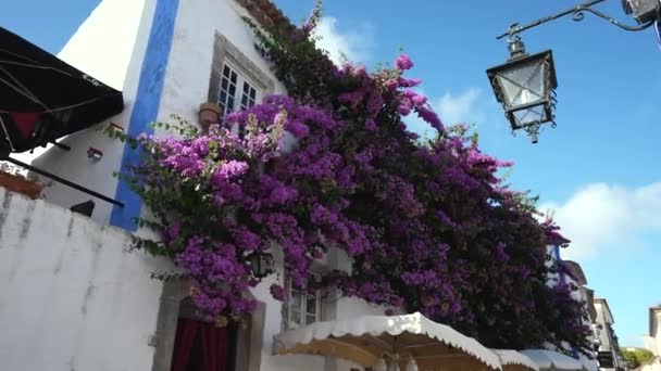 Binnenstraten van Obidos kasteel. Huizen met bloemenranken van lavendel of violet. — Stockvideo