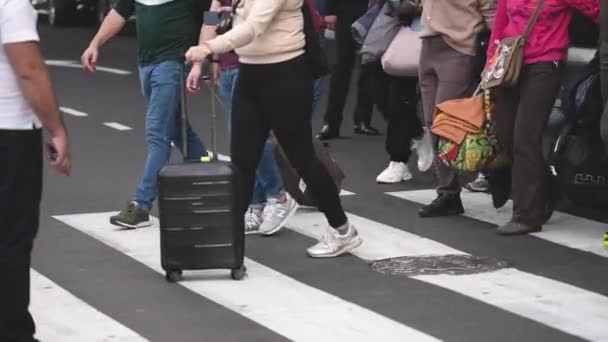 공항 터미널에 도착하는 비행기, 수하물 가방, 여행 가방을 운반하는 사람들. — 비디오