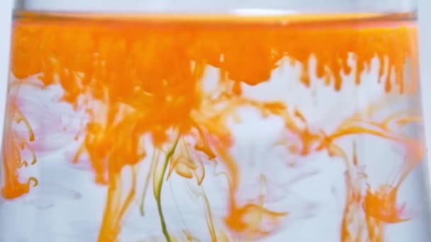 A tinta de tinta cor-de-laranja cai, goteja o fluxo no fluido de água. Splatter de tinta amarela respingo. — Vídeo de Stock