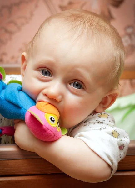 Kind gnaws een stuk speelgoed — Stockfoto