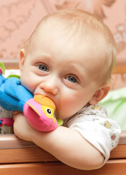 Dítě hlodá hračka — Stock fotografie