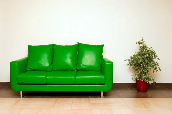 Green leather sofa with pillow and plant — Stock Photo, Image