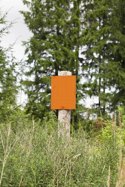 Varningsskylt utan inskrift nära skogen — Stockfoto