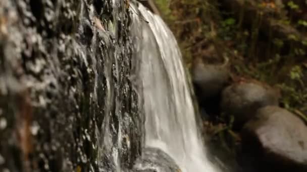 Waterfall close to the side — Stock Video