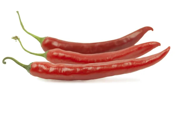 Tři červené chilli papričky v řadě na bílém pozadí — Stock fotografie