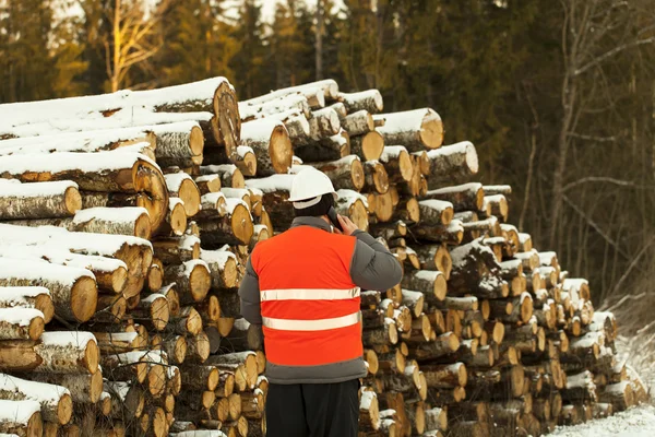 Lumberjack talar på mobilen — Stockfoto