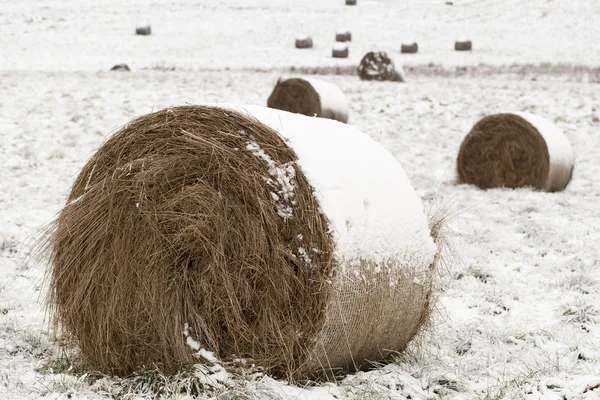 Neve coberto rolos de feno em um campo nevado — Fotografia de Stock