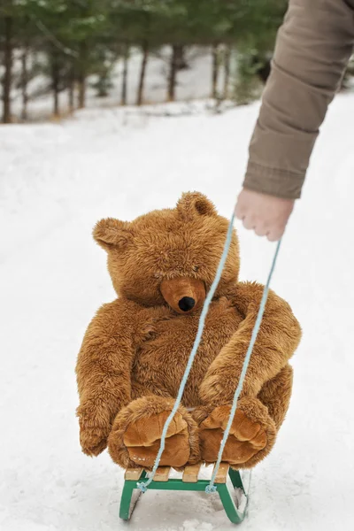 Uomo tirato slitte con orso giocattolo — Foto Stock