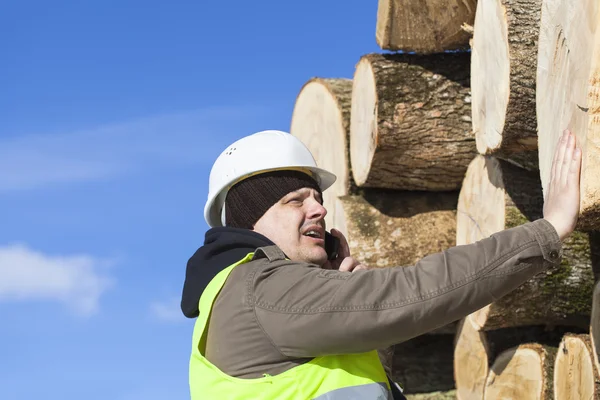 Forester che parla al cellulare vicino al mucchio di tronchi — Foto Stock