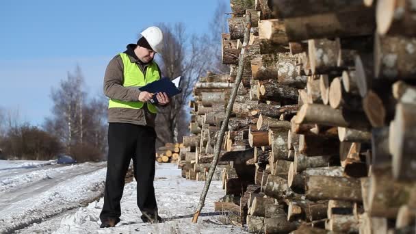 Forester with cell phone and folder near at the log pile — Stock Video
