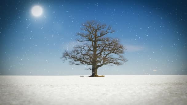 Abstrakter alter Baum auf schneebedecktem Feld — Stockvideo