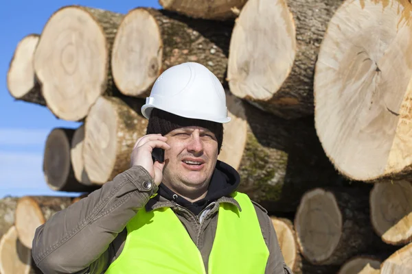 Lumberjack talking on the cell phone near at the log pile — Stock Photo, Image