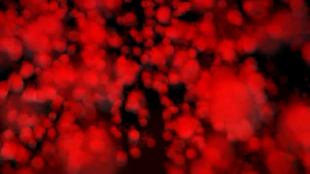 Abstract background in red — Stock Video