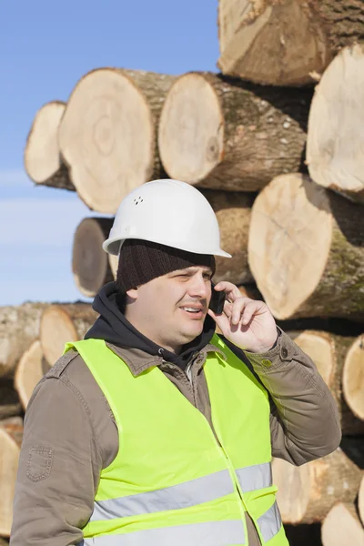 Forester che parla al cellulare vicino al mucchio di tronchi — Foto Stock